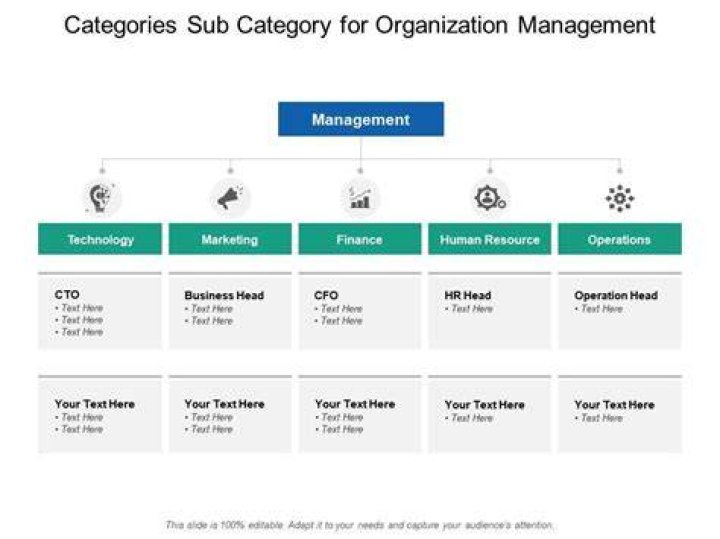What are categories and sub categories?