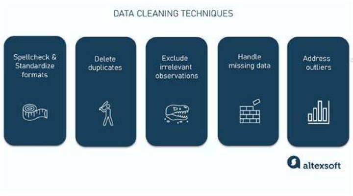 What are data cleaning techniques?