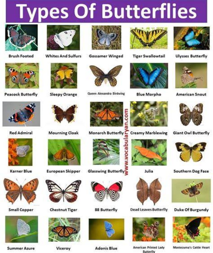 What are different kind of names?