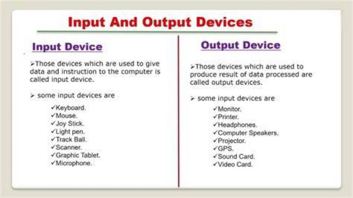 What are examples of outputs?