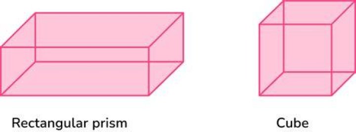 What are examples of rectangular prisms?
