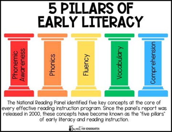 What are home literacies?