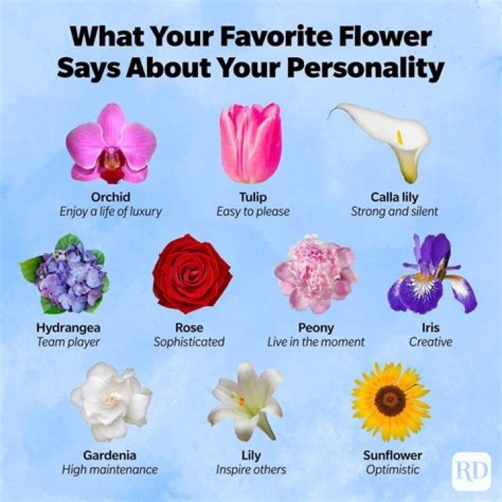 What are my Favourite flower?