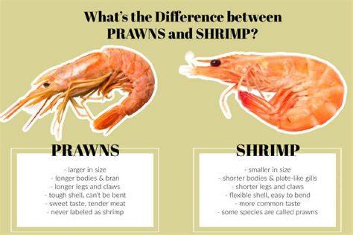 What are non pawns called?
