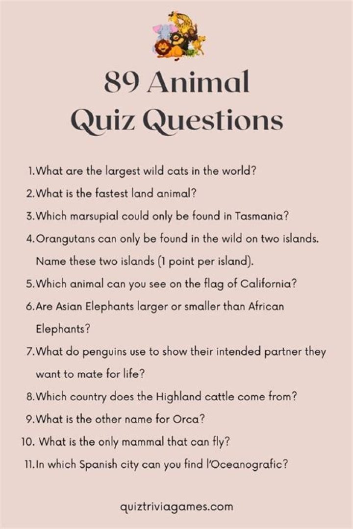 What are some animal questions?