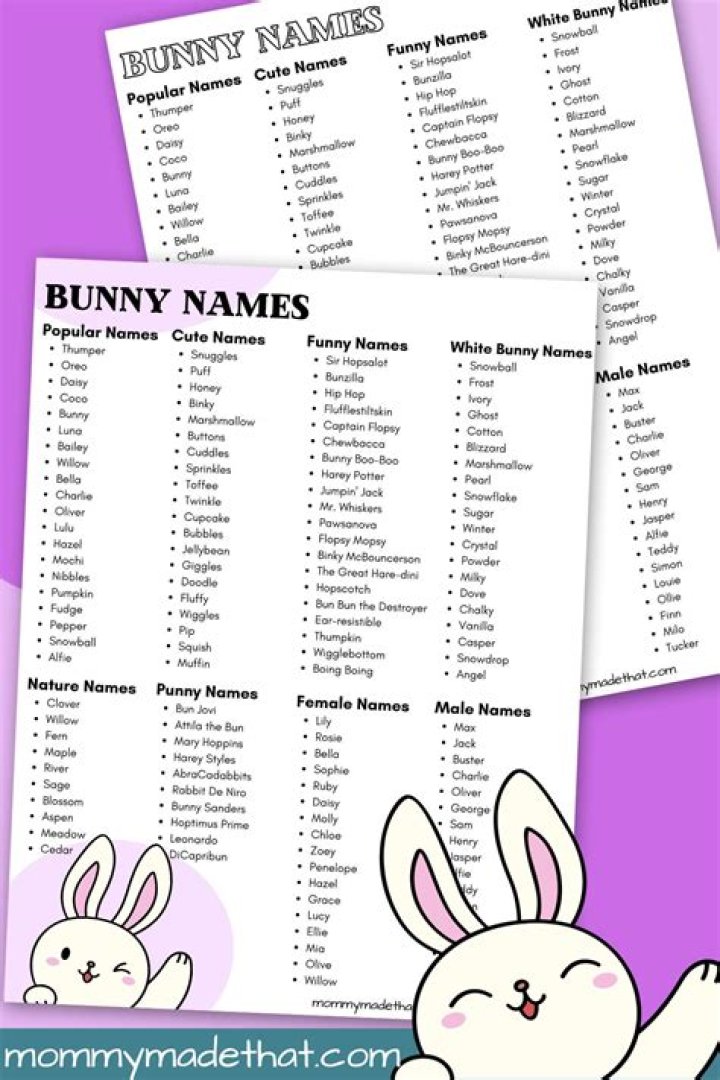 What are some cool bunny names?