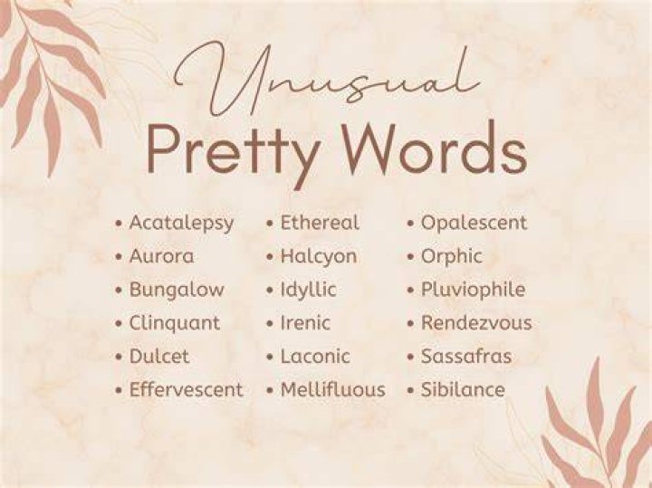 What are some discovery words?