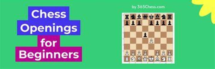 What are some good chess openings for beginners?