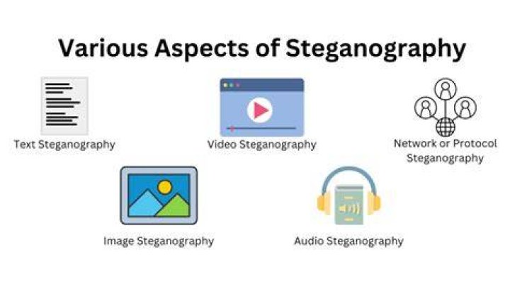 What are some other uses of steganography?
