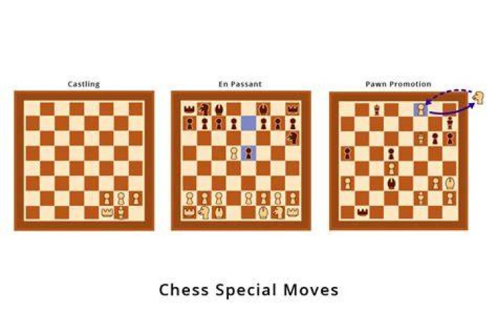 What are special moves in chess?