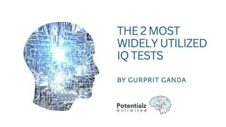 What are the 2 most widely used IQ tests?
