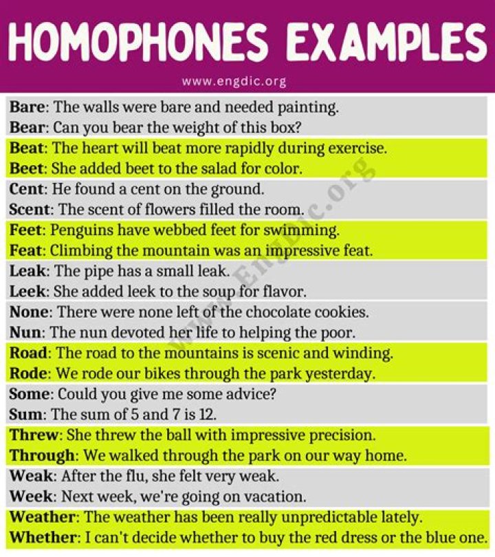 What are the 20 examples of homophones with sentences?