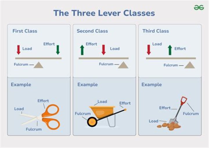 What are the 3 different classes of levers?