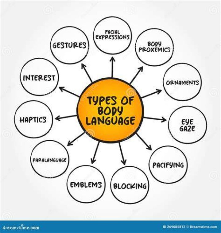 What are the 4 types of body language?