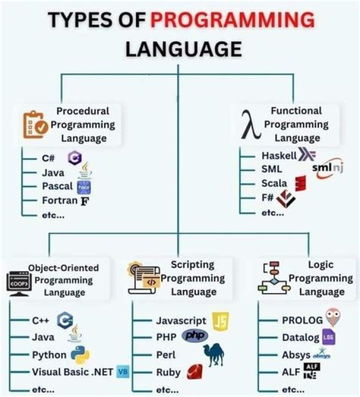 What are the 4 types of coding?