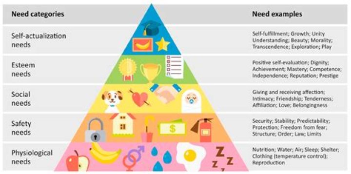 What are the 5 basic needs for survival?