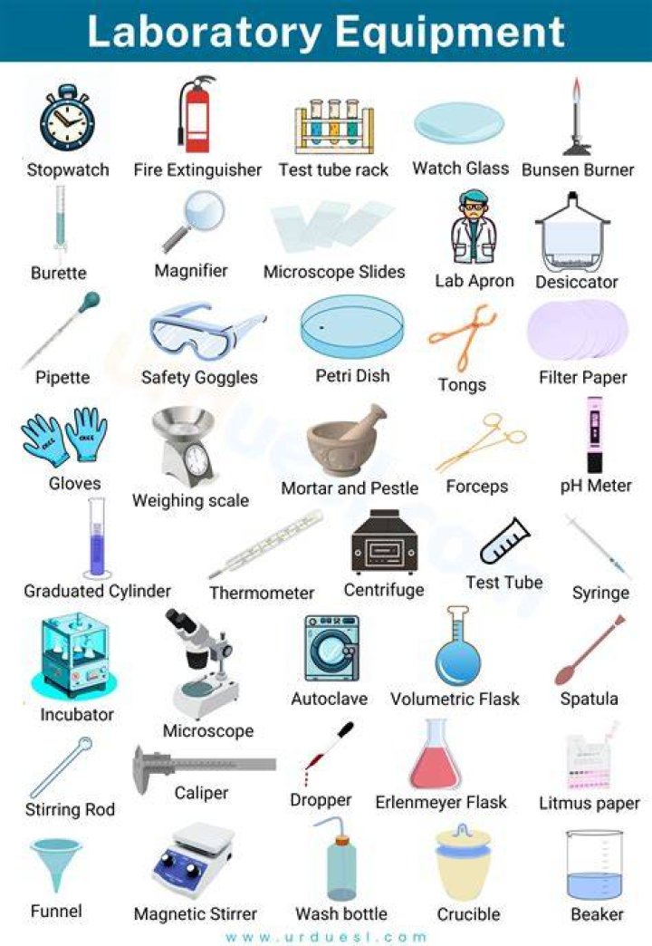 What are the 5 lab equipments?