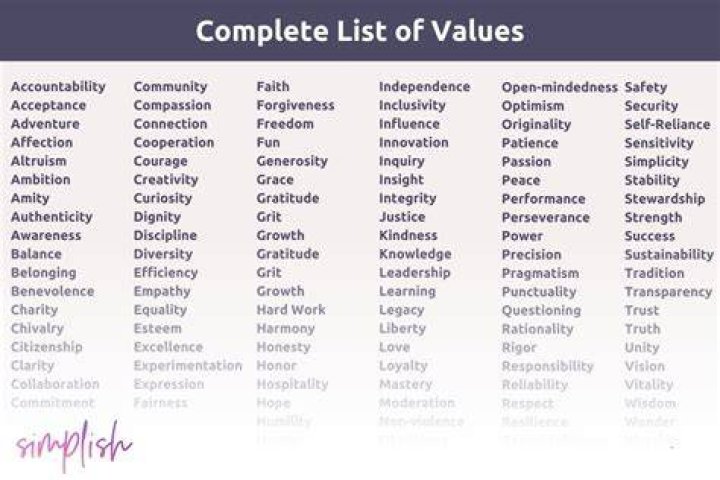 What are the 5 main values?