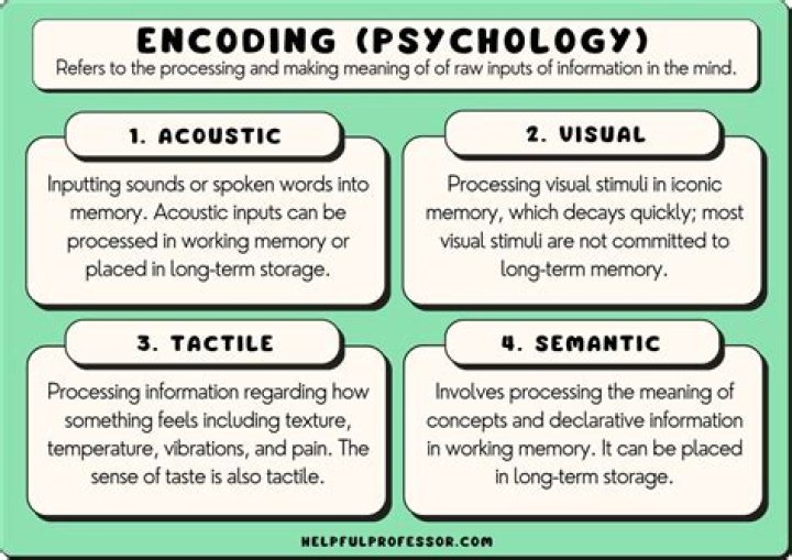 What are the 5 types of encoding?