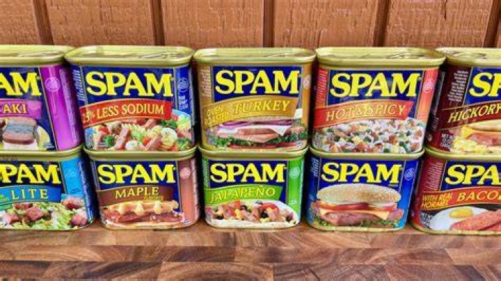 What are the 5 types of spam?