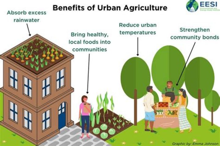 What are the advantages of urban farming?