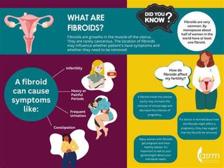 What are the dangers of having fibroids?