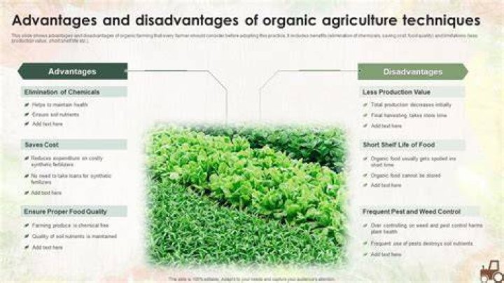 What are the disadvantages of organic eggs?