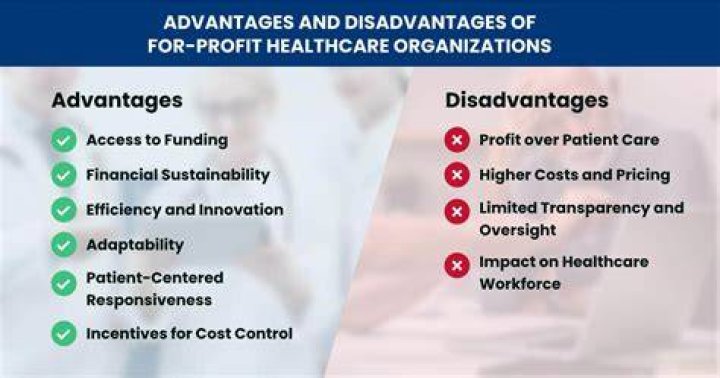 What are the disadvantages of private healthcare?