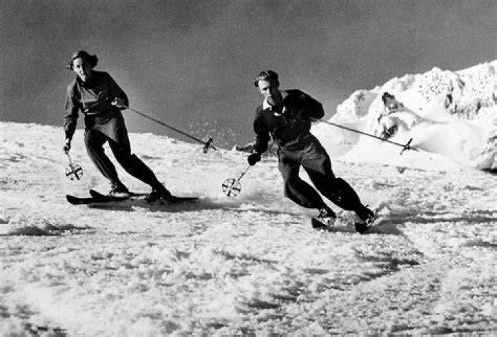 What are the four different races for Alpine skiers?
