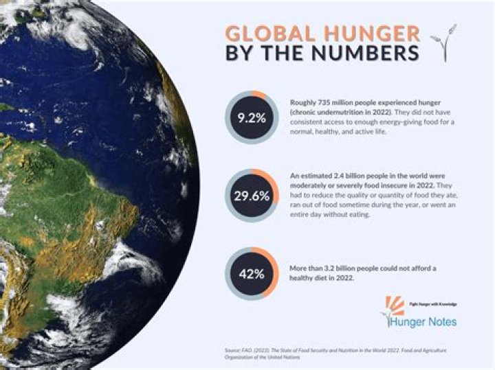 What are the main causes of worldwide hunger?