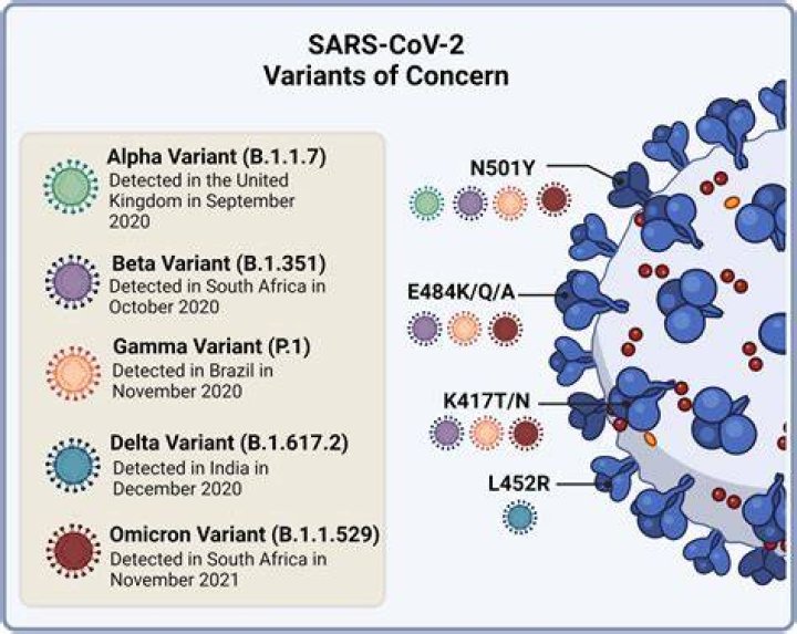 What are the major variants of COVID-19?
