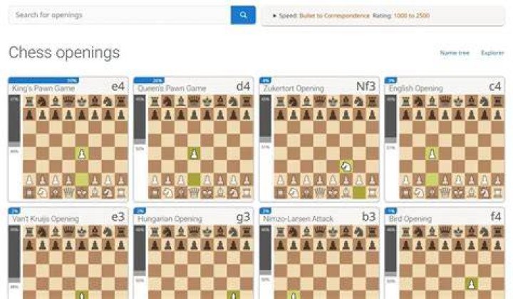 What are the openings in chess?