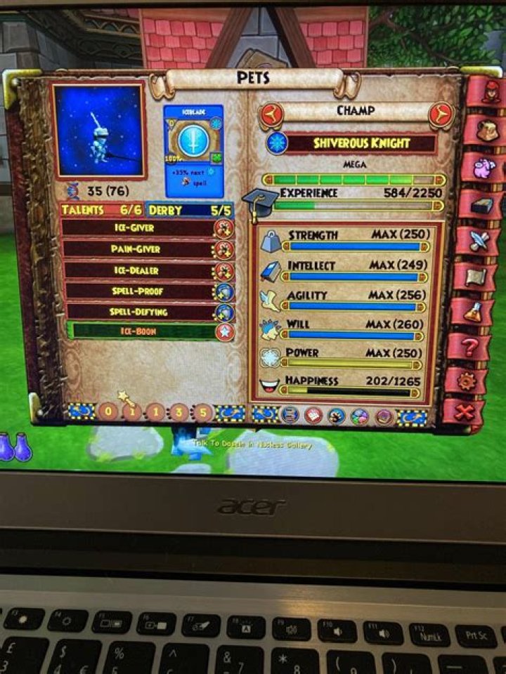 What are the stats of a Wizard101 pet?