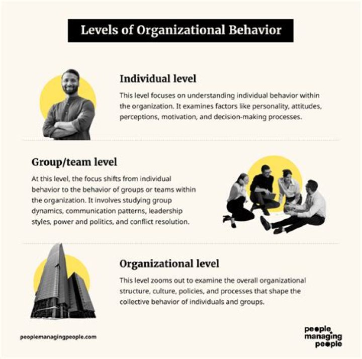 What are the three levels of performance?