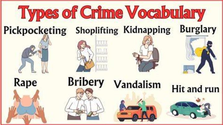 What are the types of crime fiction?