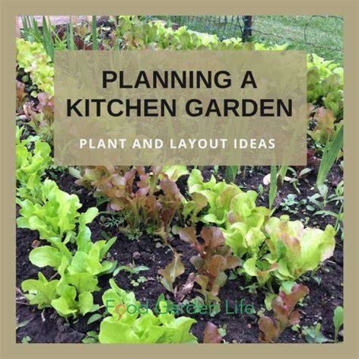 What are the types of kitchen garden?