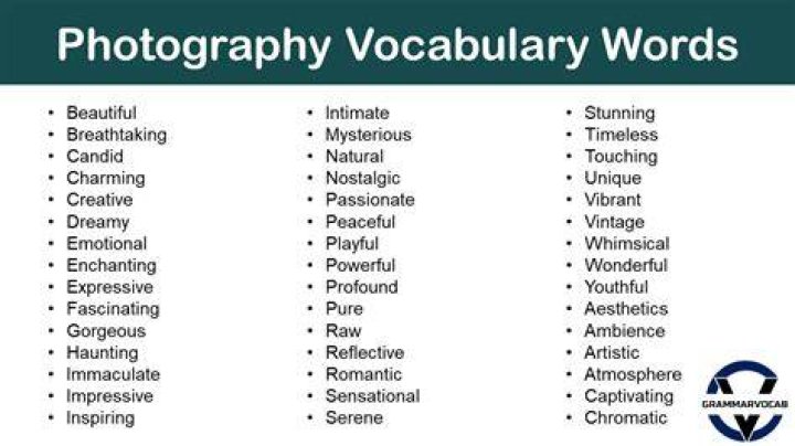 What are the words associated with photography?