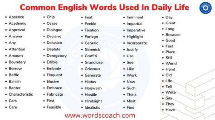 What are the words we use in our daily life?