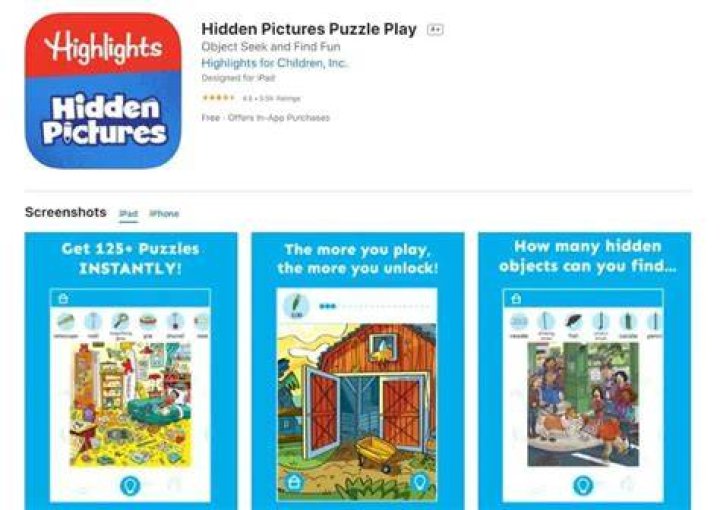 What are those visual puzzles called?