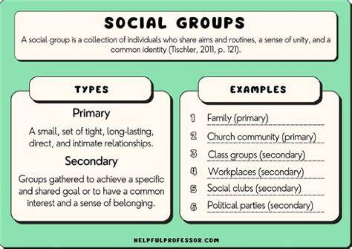 What are user groups examples?
