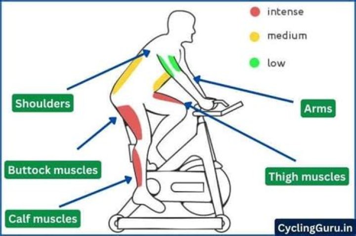 What areas of the body does cycling tone?