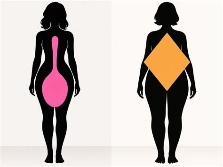 What body shape has a spindle?