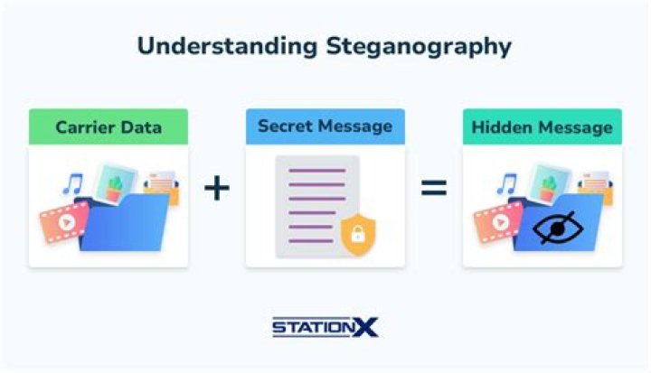 What can be the hidden information as steganography?