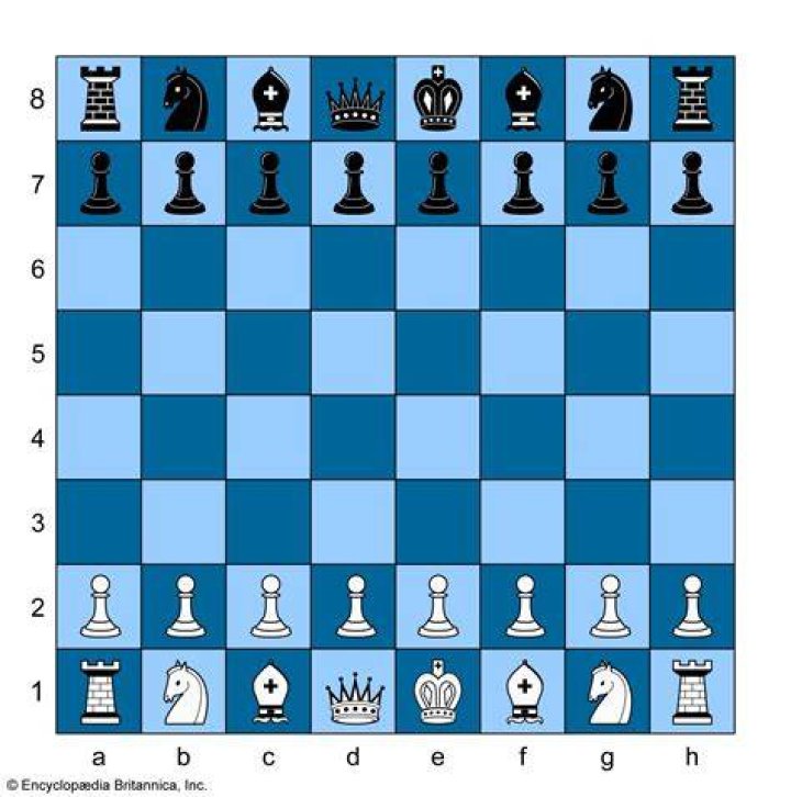What can capture a king in chess?