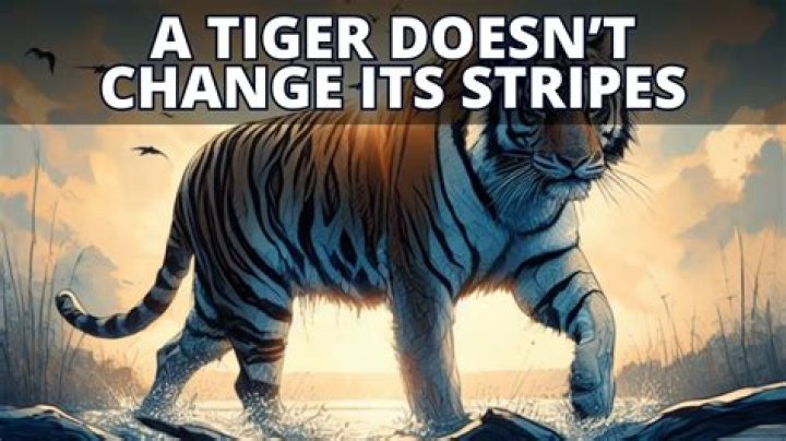 What can never change its stripes?