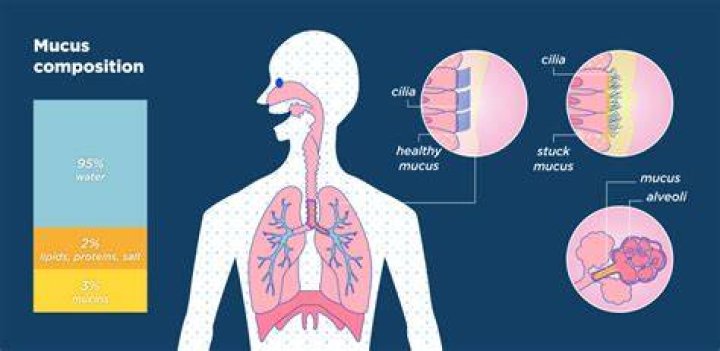 What causes excessive sniffling?