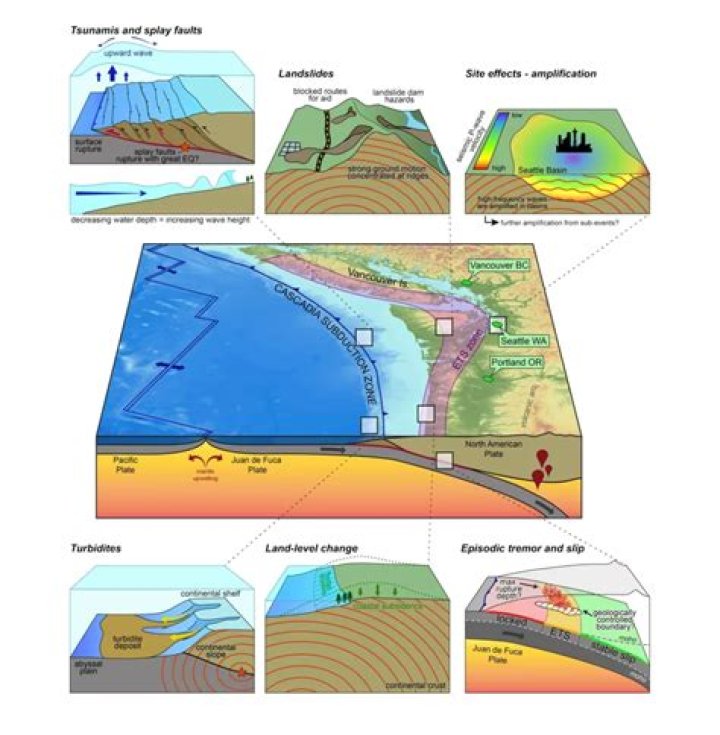 What causes tectonic subsidence?