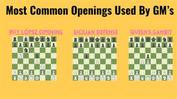 What chess set DO grandmasters use?