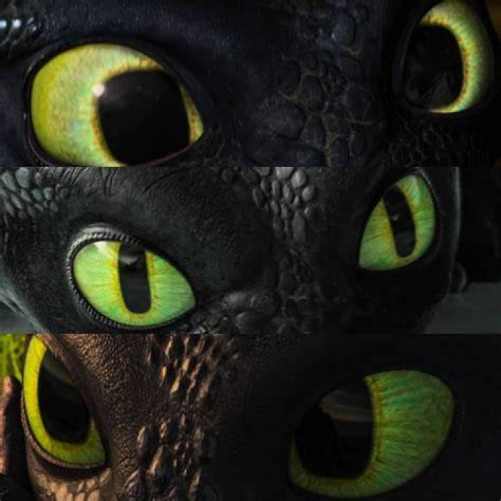 What color are Toothless eyes?