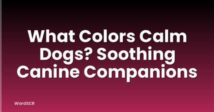 What color makes dogs calm?